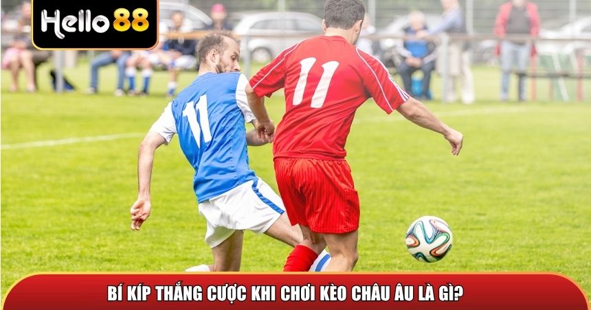 Bí kíp thắng cược khi chơi kèo châu Âu là gì?