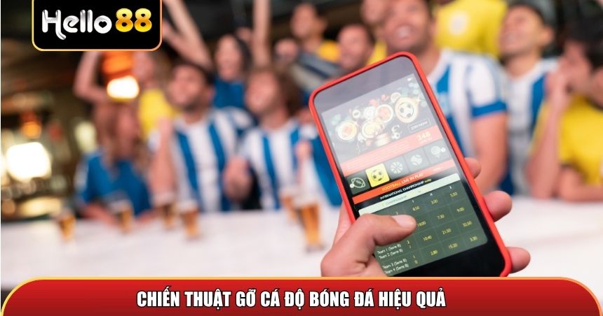 Chiến thuật gỡ cá độ bóng đá hiệu quả