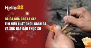 Đá Gà Cựa Dao – Bí Kíp Chinh Phục Tựa Game Bài Đỉnh Cao